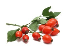 DZIKA RÓŻA SUSZONA CAŁY OWOC 0,5KG DZIKA RÓŻA SUSZONA CAŁY OWOC 0,5KG