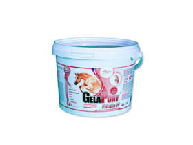 GelaPony Biotin H - Orling - 600 g