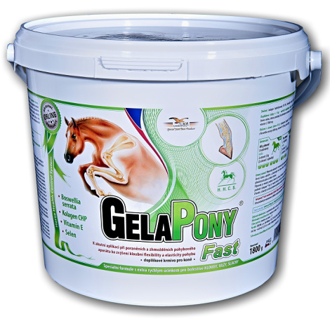 GelaPony Fast - Orling - 1800 g GelaPony Fast - Orling - 1800 g