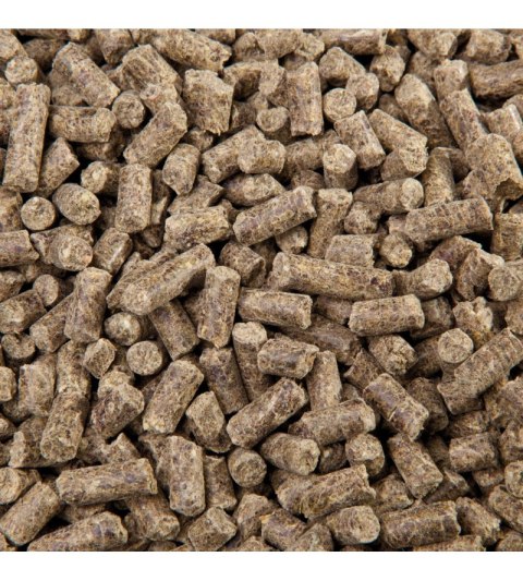 ReVital Cubes - dla koni ochwatowych, z chorobą Cushinga i PSSM 25 kg ReVital Cubes - dla koni ochwatowych, z chorobą Cushinga i PSSM 25 kg