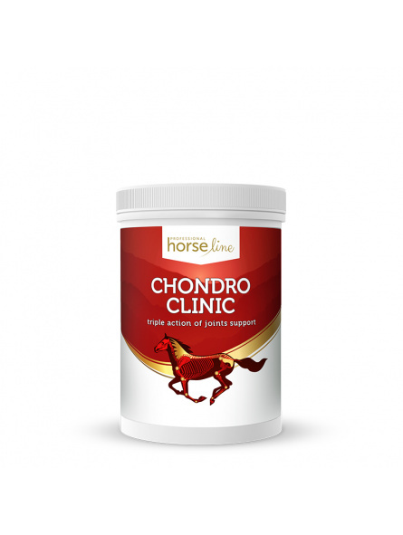 ChondroClinic 690g ChondroClinic 690g