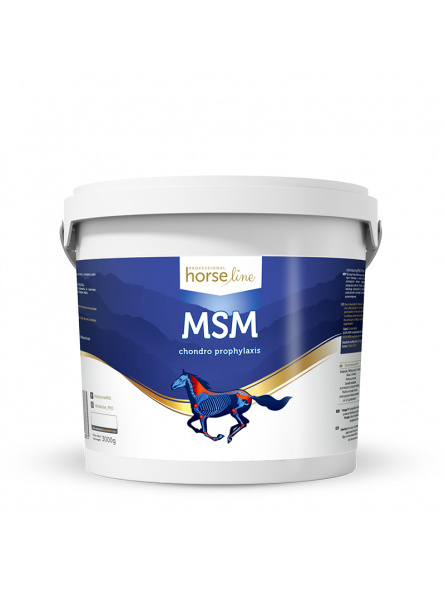 MSM 3000g MSM 3000g