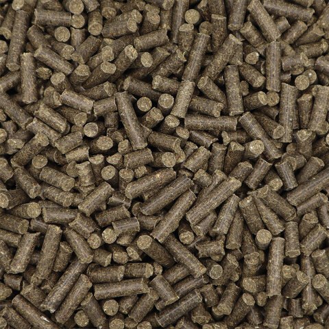 Vitalize Gastro Plus E- bezzbożowa pasza dla koni bez lucerny i soi 20 kg Vitalize Gastro Plus E- bezzbożowa pasza dla koni bez lucerny i soi 20 kg