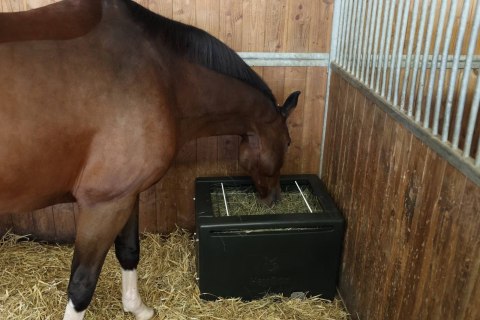 Pojemnik na siano HayBox, zielony, Kerbl Pojemnik na siano HayBox, zielony, Kerbl