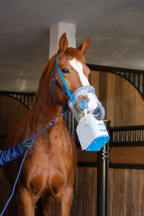 Inhalator dla konia AirOne Flex, bezprzewodowy, z maską dla koni gorącokrwistych, Hippomed Inhalator dla konia AirOne Flex, bezprzewodowy, z maską dla koni gorącokrwistych, Hippomed