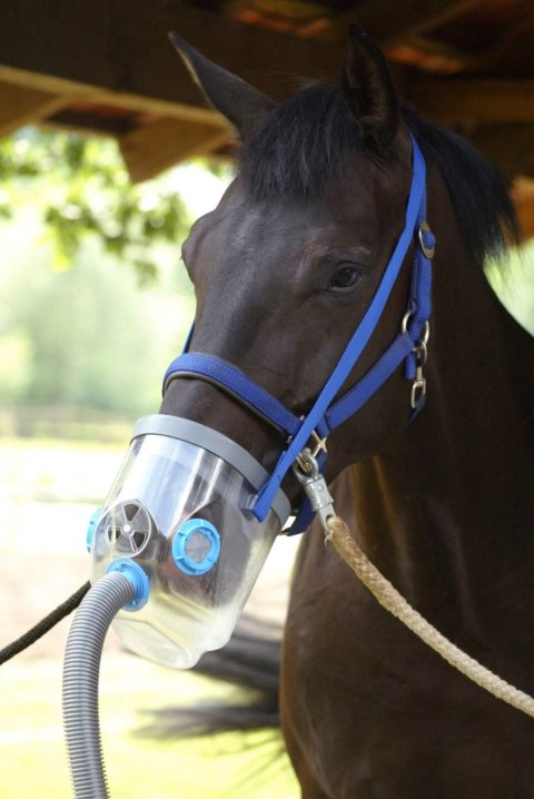 Inhalator dla konia AirOne, sieciowy, z maską dla koni gorącokrwistych, Hippomed Inhalator dla konia AirOne, sieciowy, z maską dla koni gorącokrwistych, Hippomed