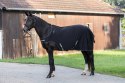 Derka do karuzeli dla konia, czarny, 130 cm, Covalliero