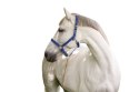 Kantar dla konia Mustang, niebieski/czarny, roz. Full, Covalliero