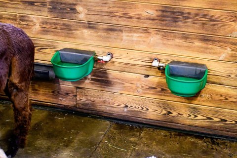 Poidło podgrzewane z zaworem pływakowym SH30, 24 V/31 W, Kerbl Poidło podgrzewane z zaworem pływakowym SH30, 24 V/31 W, Kerbl